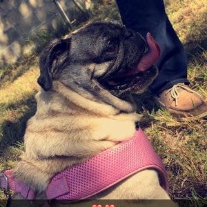 Meet your Posher, Emily